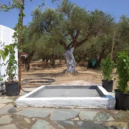 Nature Of Karapata Tatil Evi Koróni